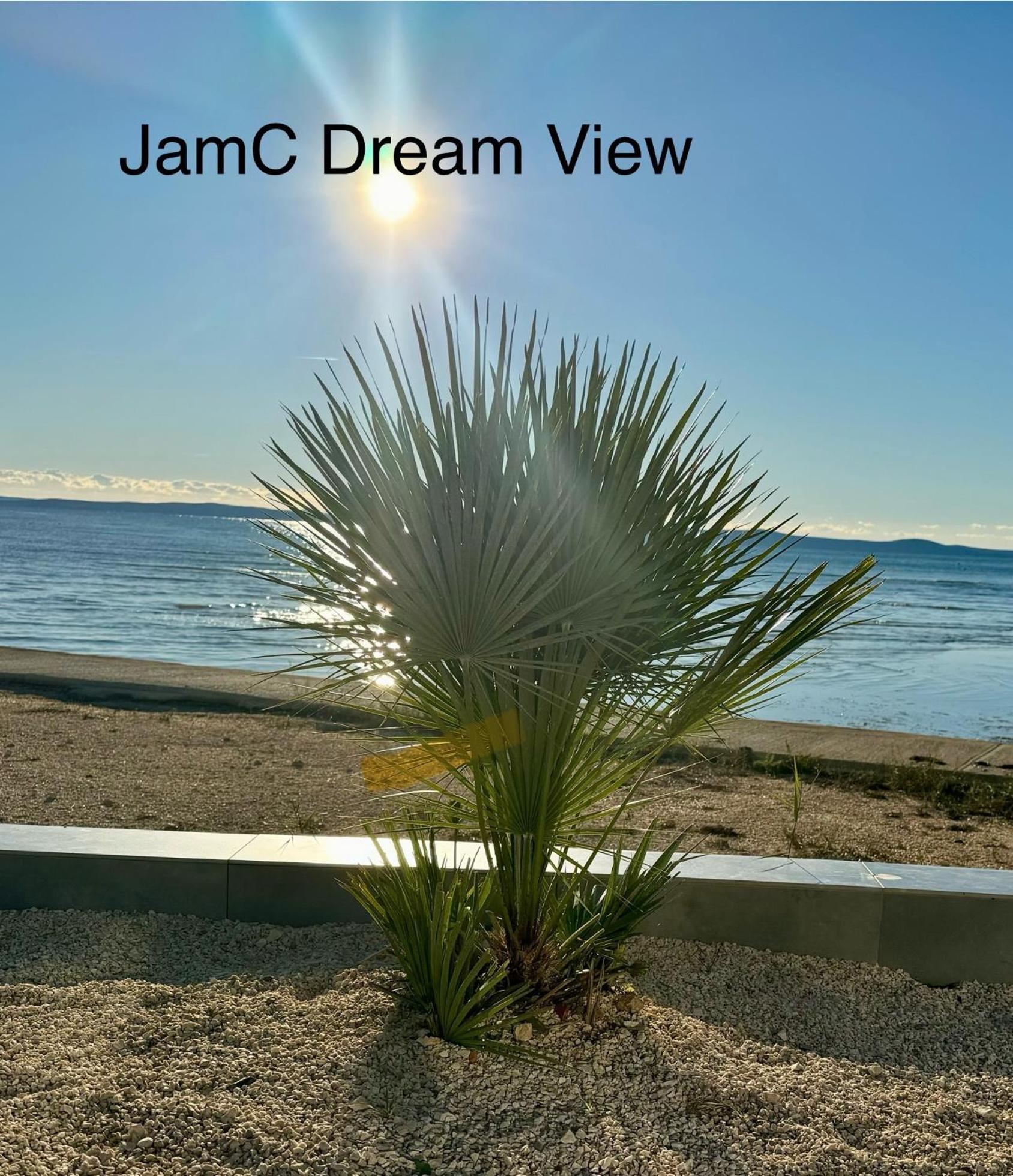 Jimmys Beach direkt am Meer mit Pool Privlaka  Exterior foto
